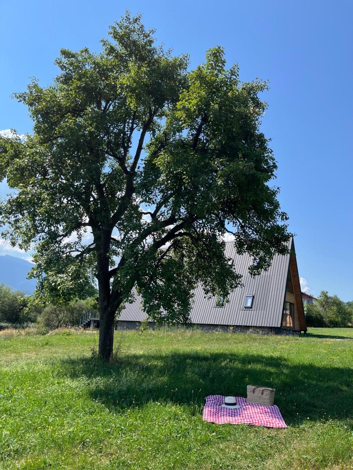 Vino Chalets Bran Sohodol  エクステリア 写真