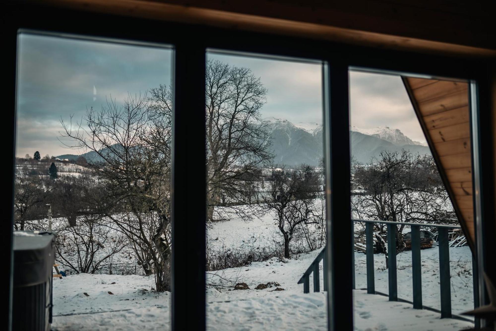 Vino Chalets Bran Sohodol  エクステリア 写真